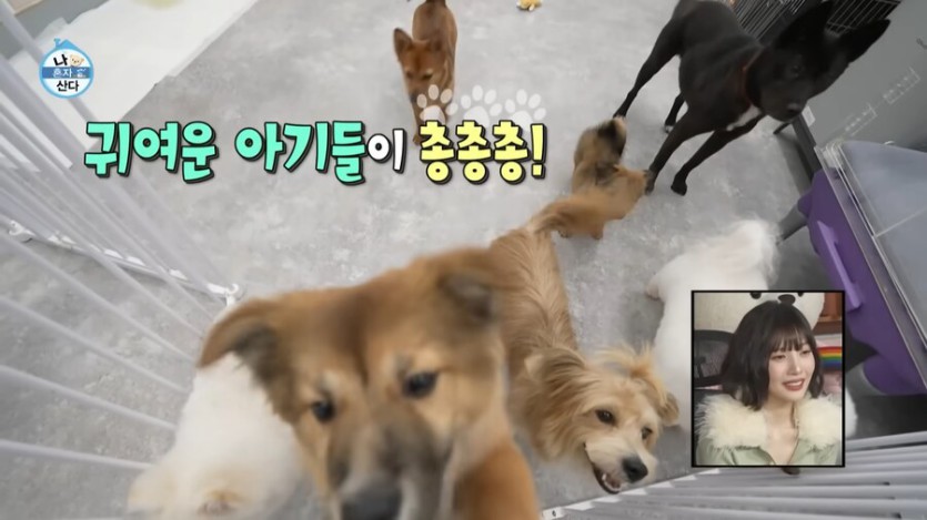 박나래 나가고 오히려 나혼산 시청률이 올라간 이유_8.png